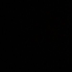 Meet your Posher, Vicente